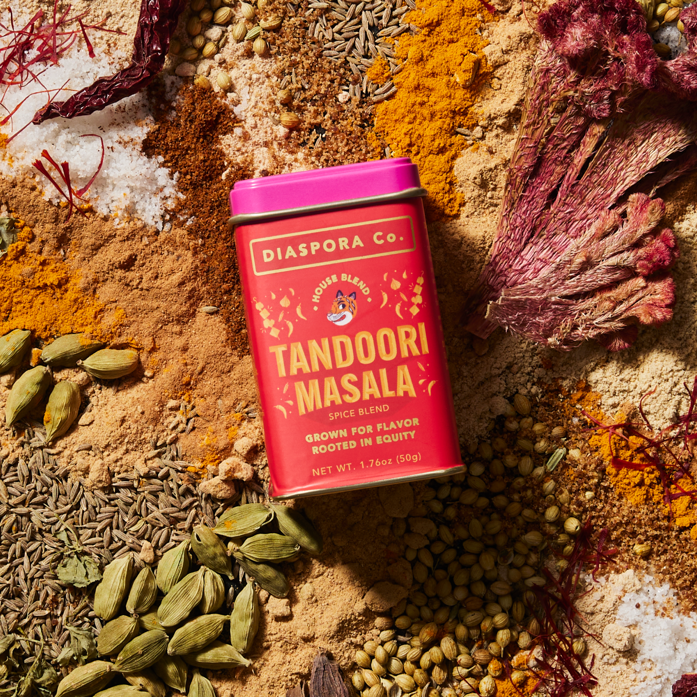 Tandoori Masala By Diaspora Spice Co.