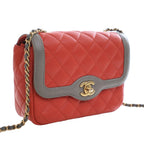 Mini Quilted Lambskin Two Tone Day Flap