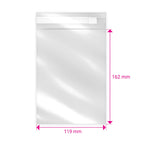 Biodegradable PLA Bags