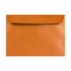 Pearlescent Envelopes