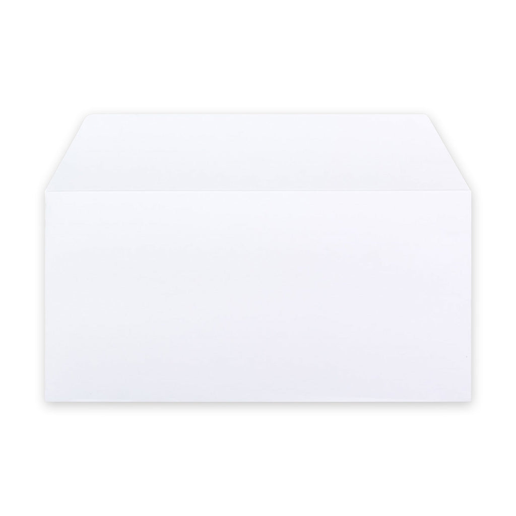 DL White Business Peel & Seal Envelope (110 x 220mm)