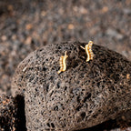 Pendientes Brise