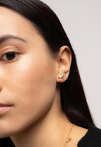 Pendientes Denali