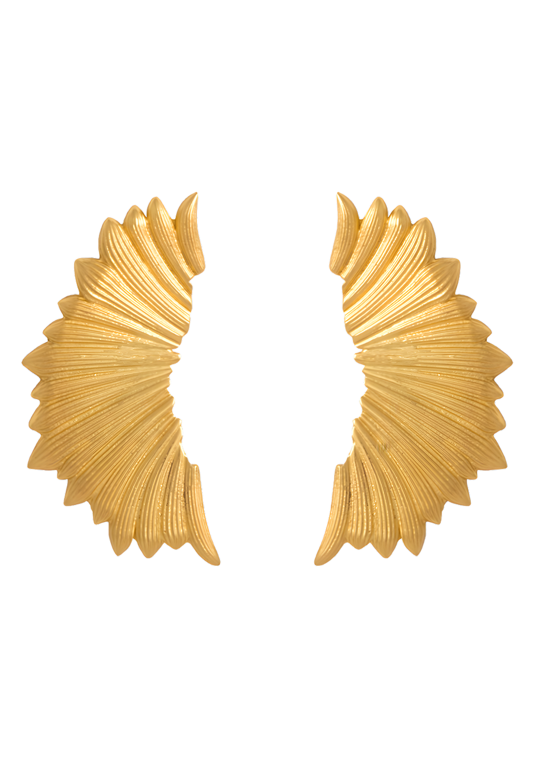 Pendientes Trepadores Wings