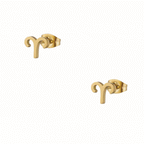 Pendientes Venture Zodiaco
