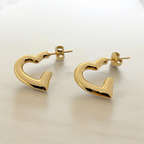 Pendientes Edal