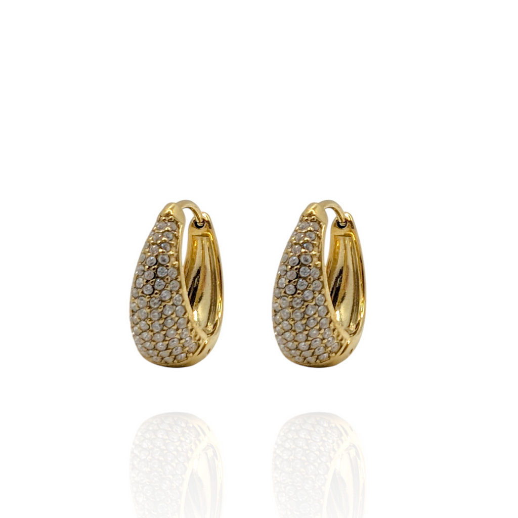 Pendientes Edialys