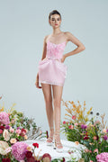 Aperture Handicraft Butterfly Details Mini Dress