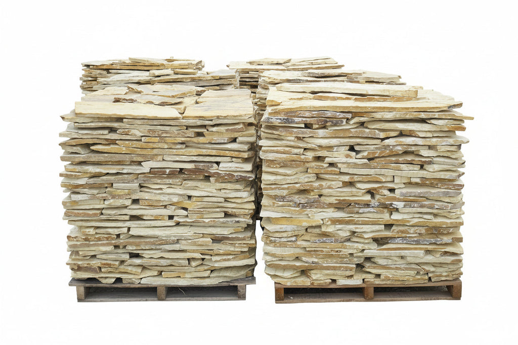 Planchoncillo Amarillo