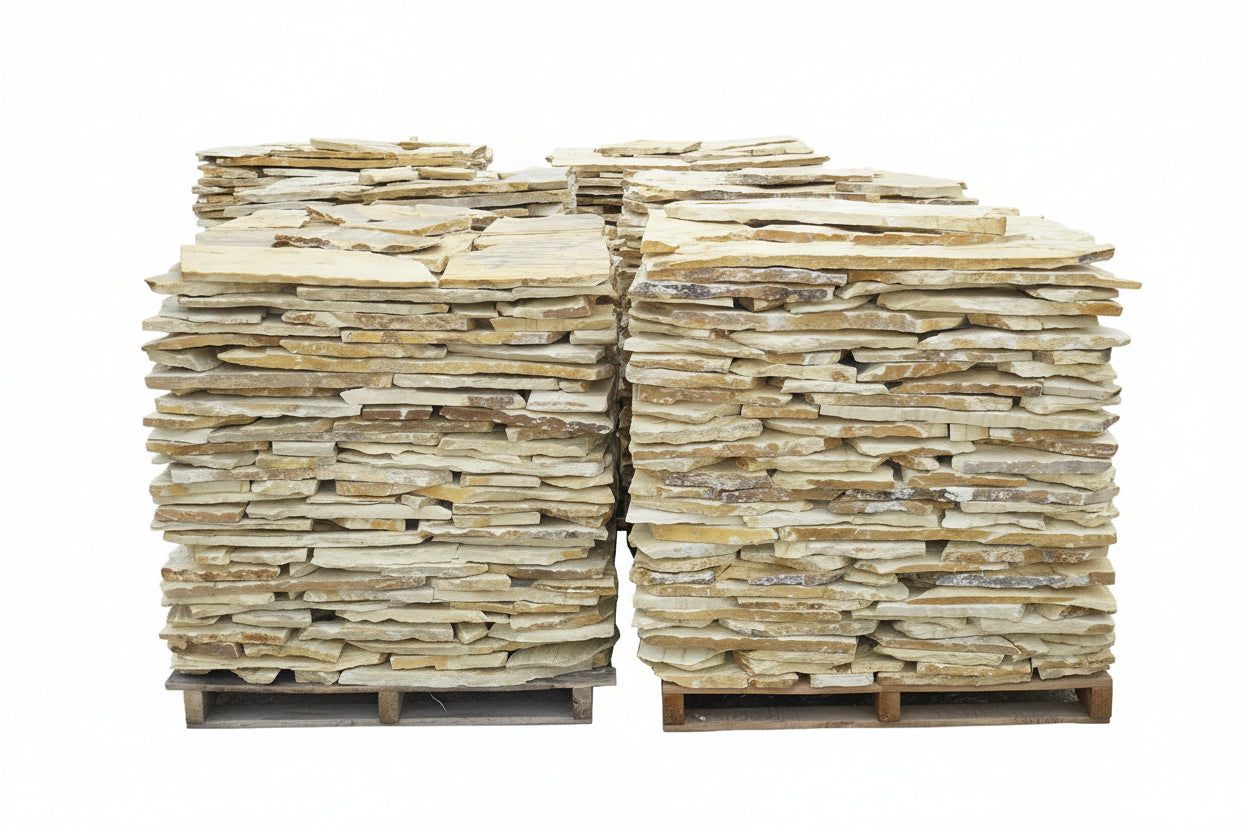 Planchoncillo Amarillo