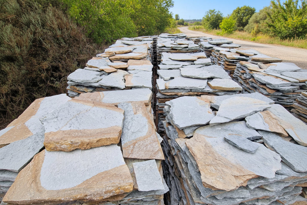 Planchoncillo Plata Bicolor