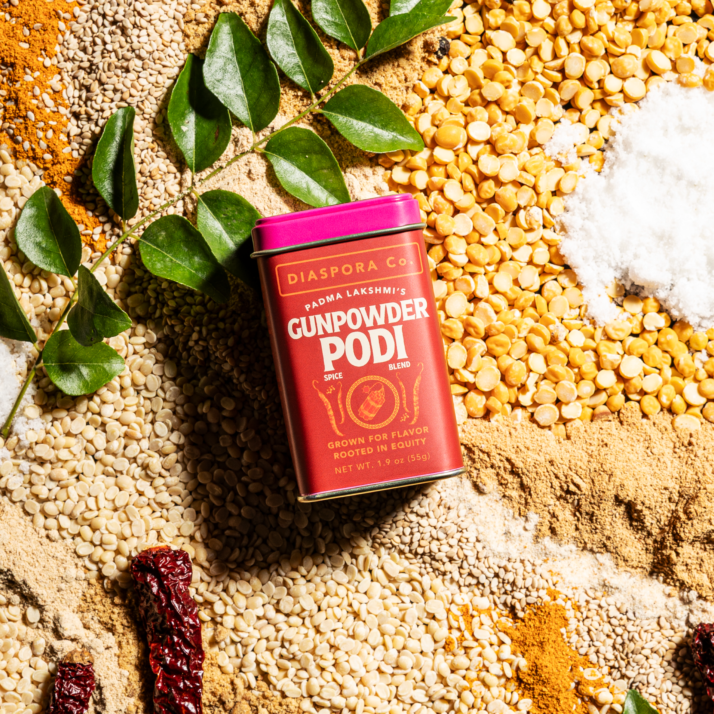 Padma Lakshmi's Gunpowder By Diaspora Spice Co.