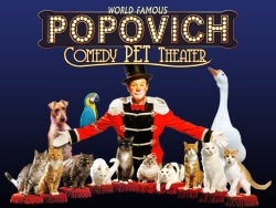 Popovich Comedy Pet Theater