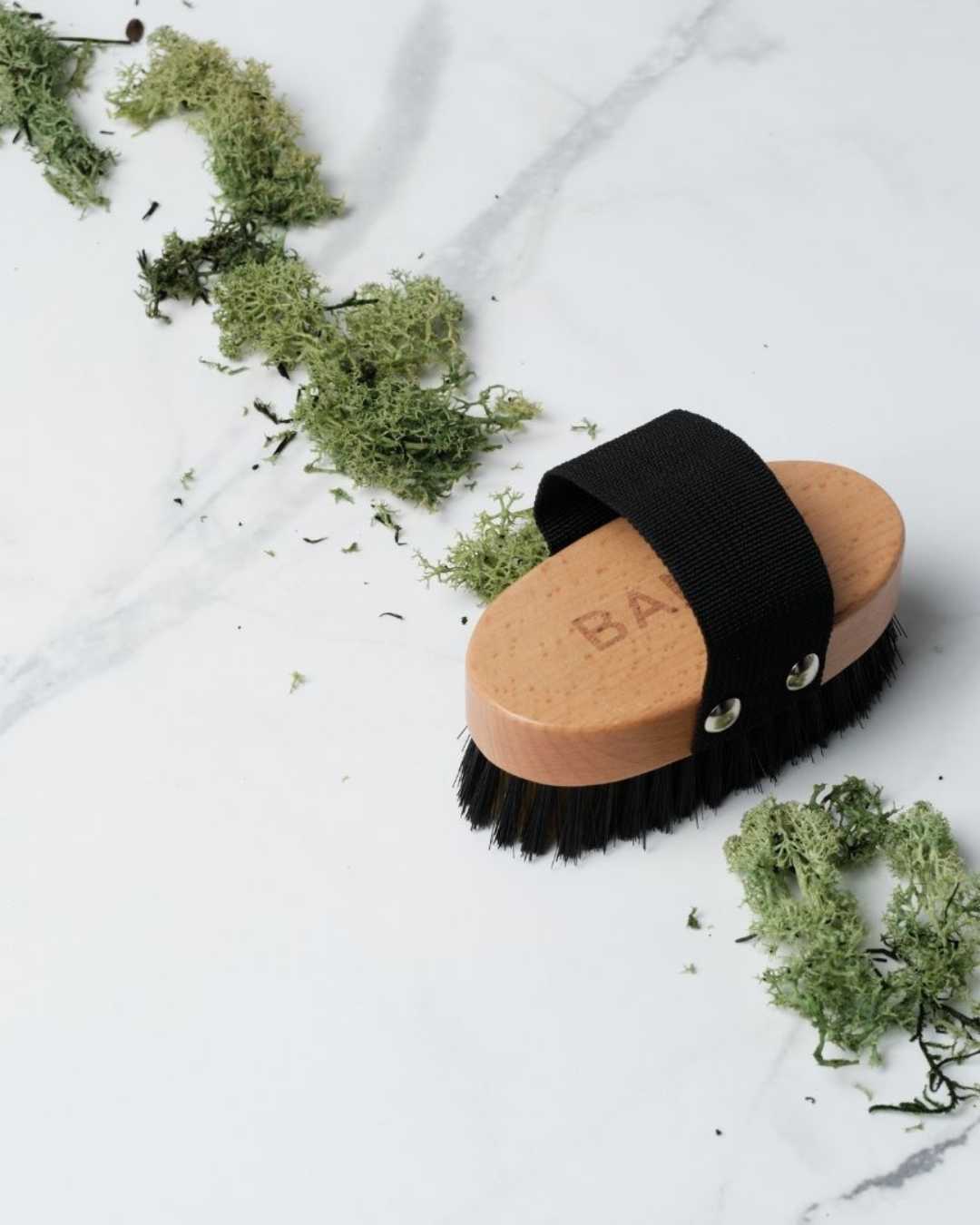 Cepillo para Perros Pet Brush