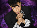 Purple Reign, THE Prince Tribute Show