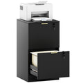 2-Drawer Vertical Filing Cabinet with Lock, Adjustable Hanging Rails for A4 & Letter Files, Black