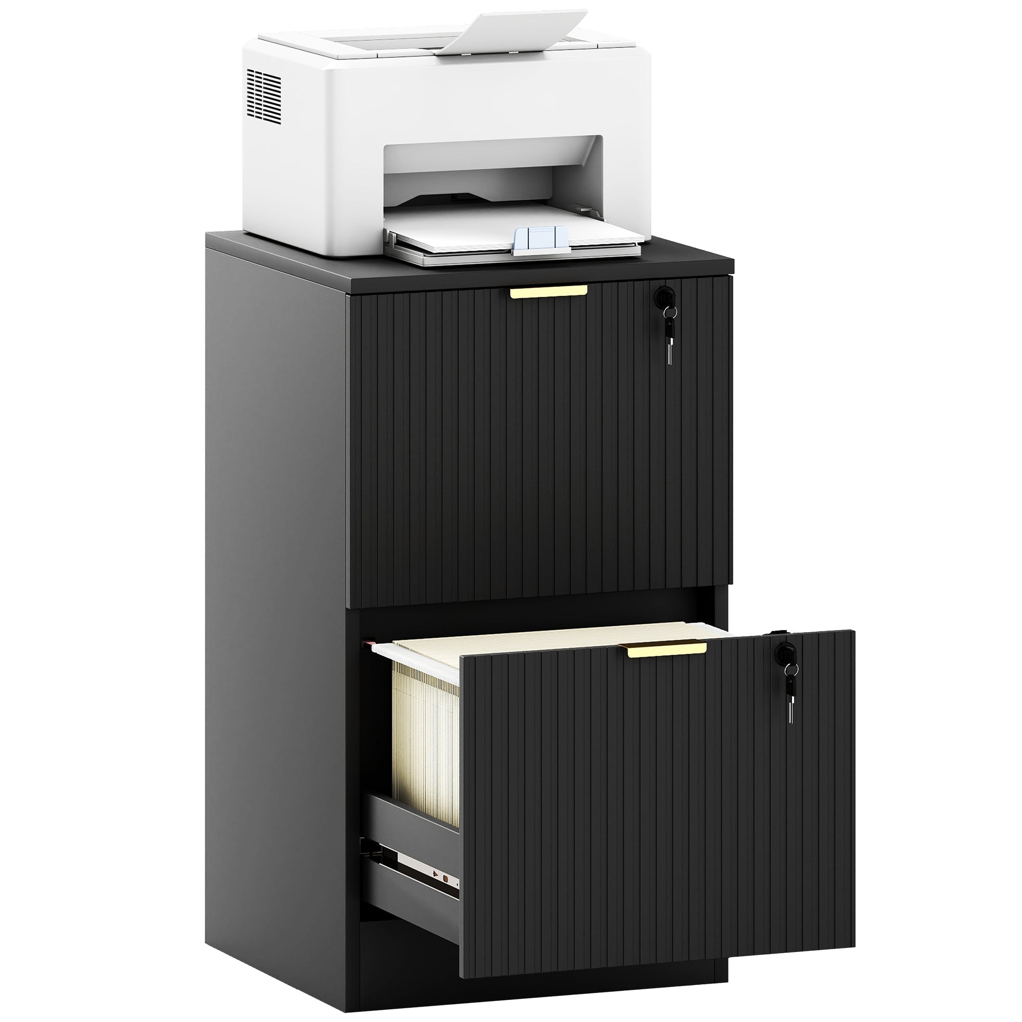 2-Drawer Vertical Filing Cabinet with Lock, Adjustable Hanging Rails for A4 & Letter Files, Black
