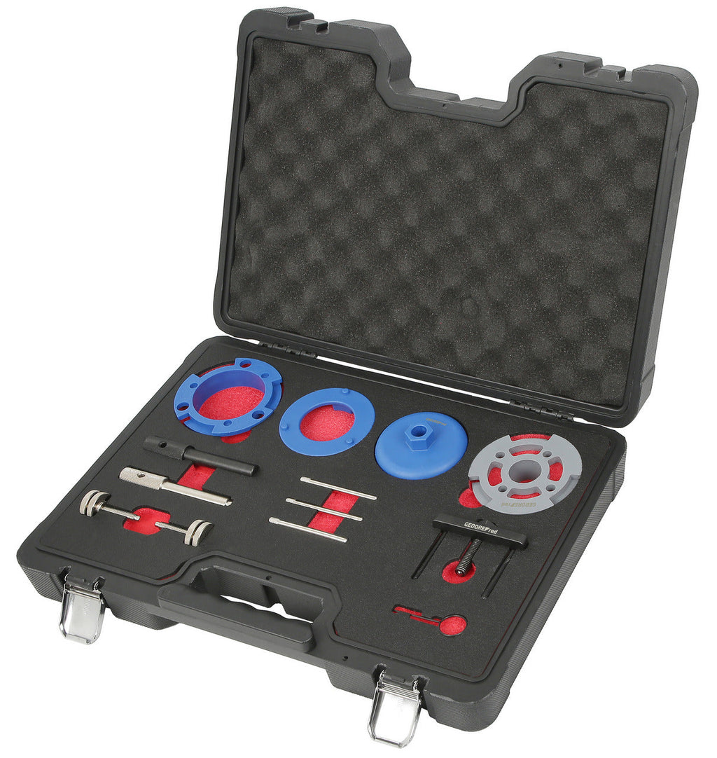 R15003009 - Juego de herramientas de bloqueo, Ford (2.0 / 2.2 / 2.4 / 3.2 Duratorq)