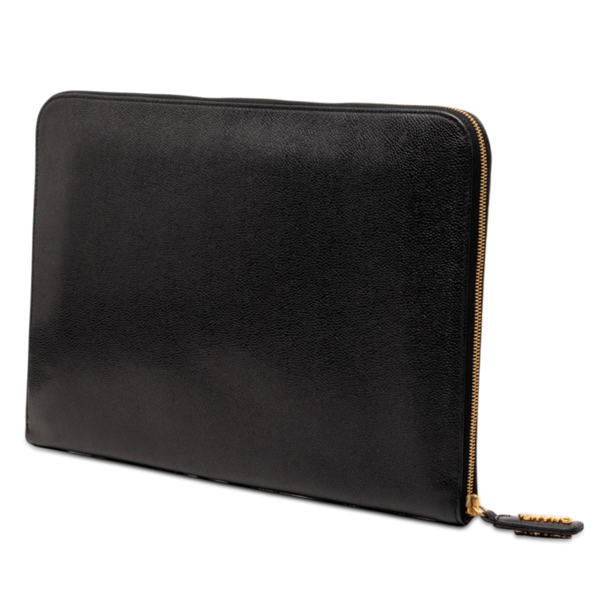 CC Caviar Documents Portfolio Clutch