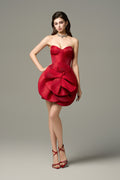 Selene Cat Eye Neckline Mini Dress With Front Dramatic Floral Applique Red