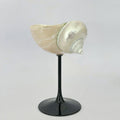 ArtZ® Love The Ocean Cocktail Glass - Black Stem