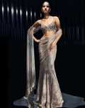 Gleam Line Concept Sari By KYNAH, Luxury Indian Fashion & Bridal Wear