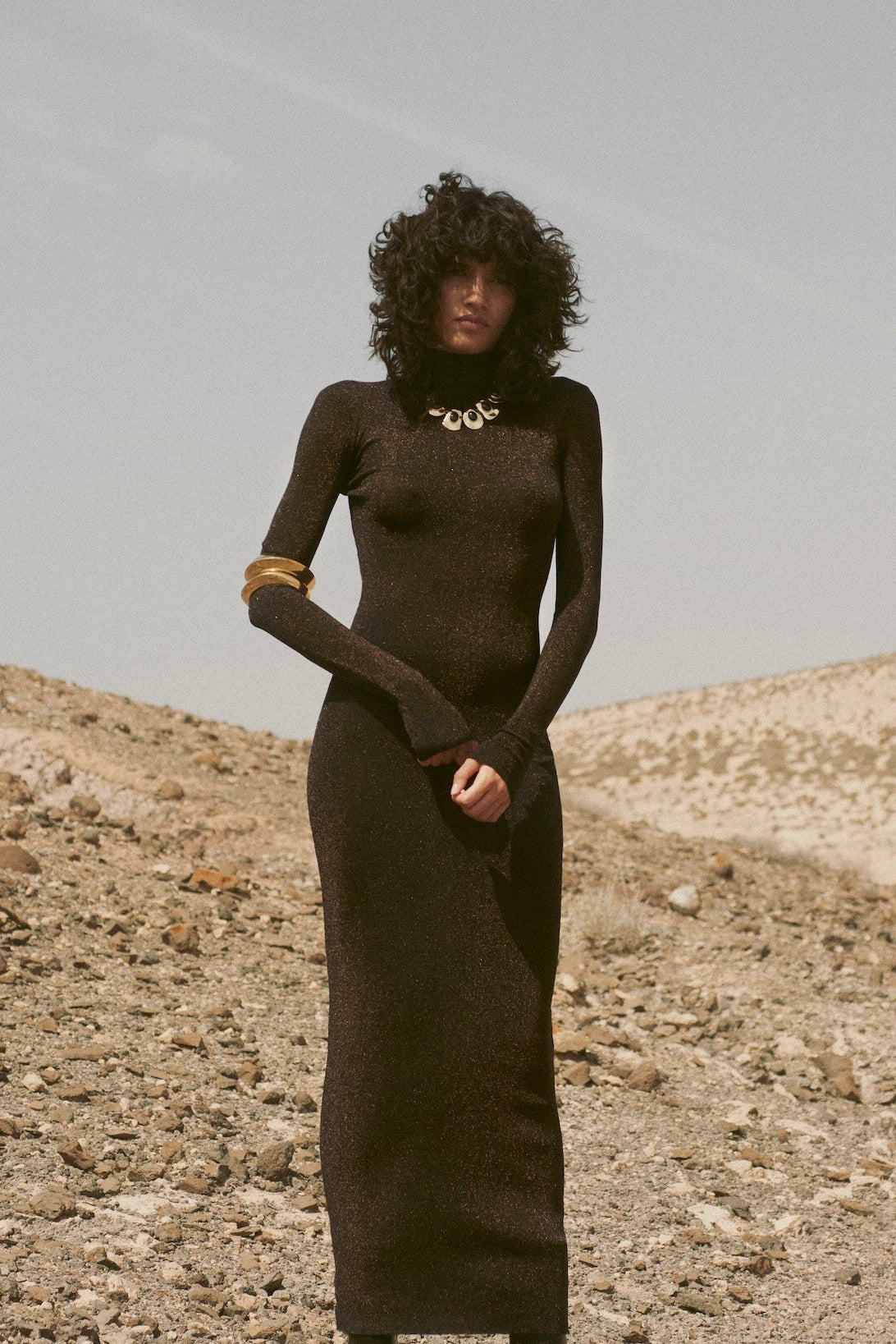 Shimmer Mockneck Dress (Black)