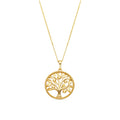 Collar con Circonita Brillante acabado oro 18k - Timew