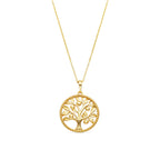 Collar con Circonita Brillante acabado oro 18k - Timew