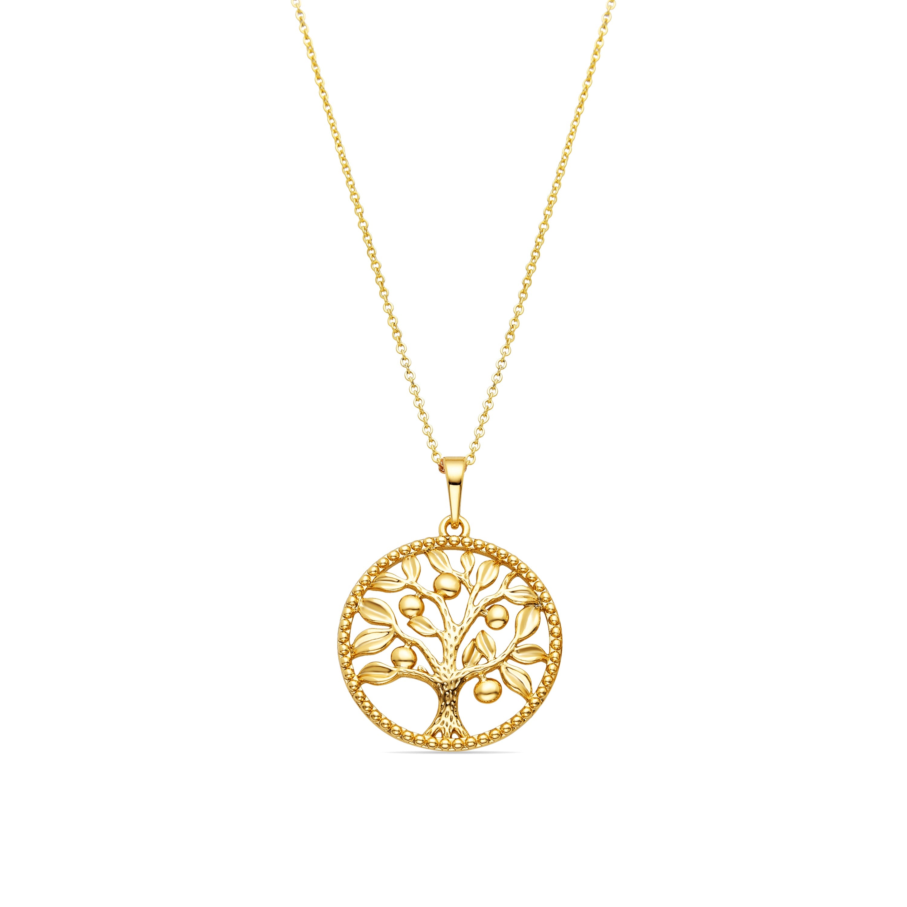 Collar con Circonita Brillante acabado oro 18k - Timew