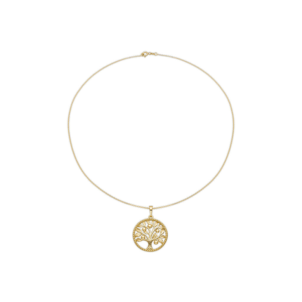 Collar con Circonita Brillante acabado oro 18k - Timew