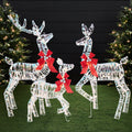 3-Piece Lighted Christmas Deer Set Outdoor Decor with 175 LED Lights - Iridescent