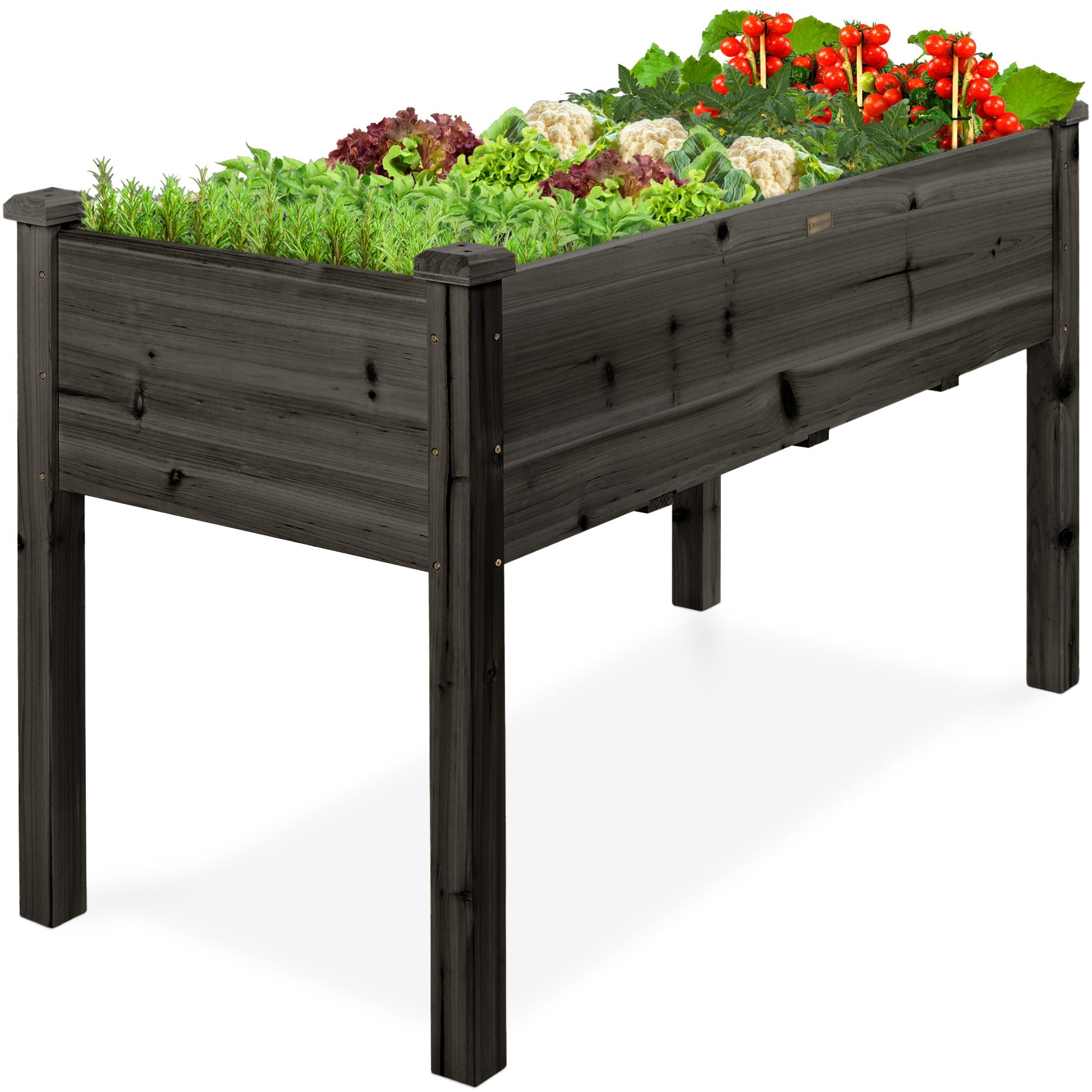 Raised Garden Bed, Elevated Wooden Planter Box w/ Foot Caps - 48x24x30in - Black