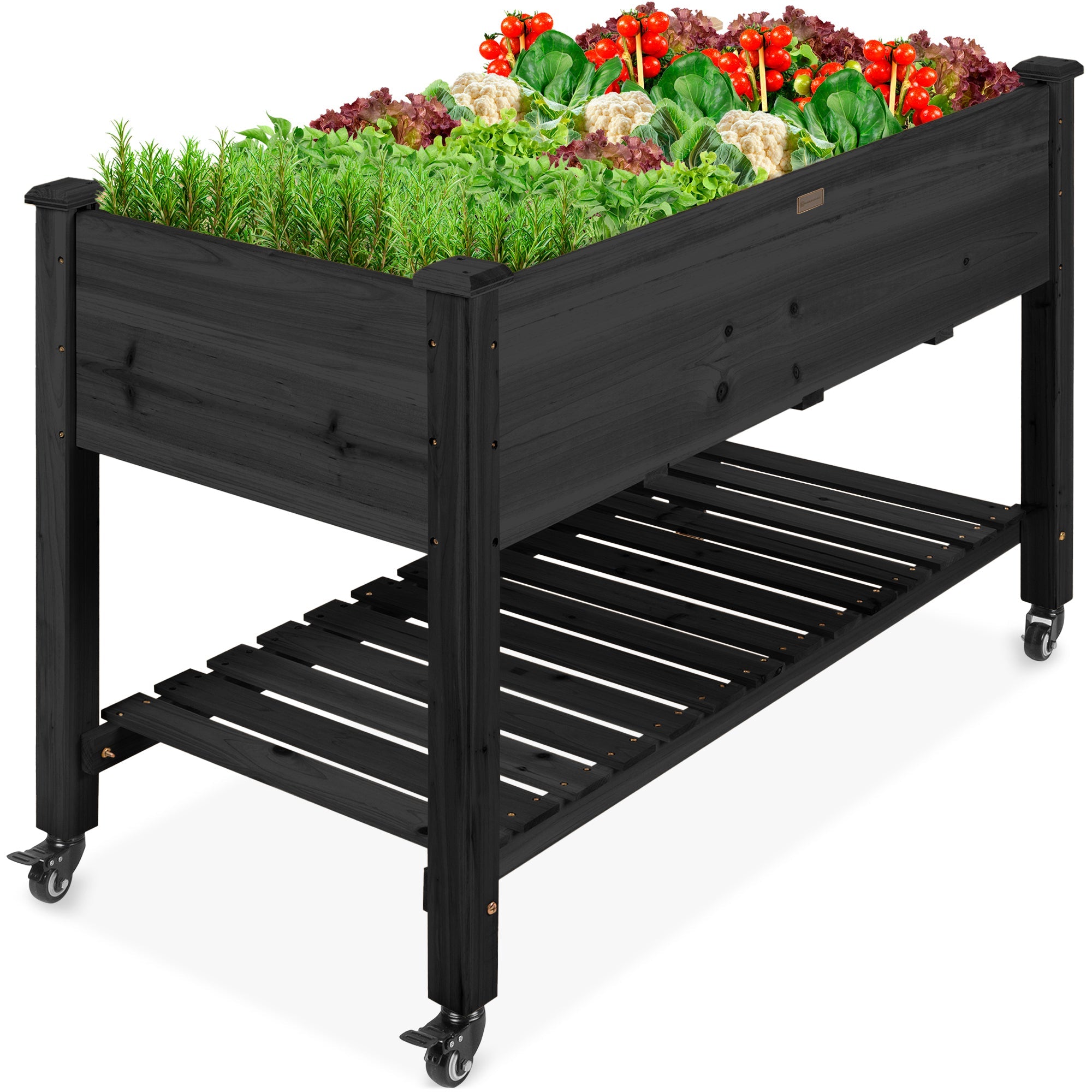 Mobile Raised Garden Bed Elevated Planter w/ Wheels, Shelf - 48x24x32in - Black