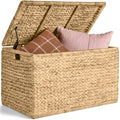 Storage Trunk w/ Lid & Handles, Storage Bench, Toy Chest - Natural