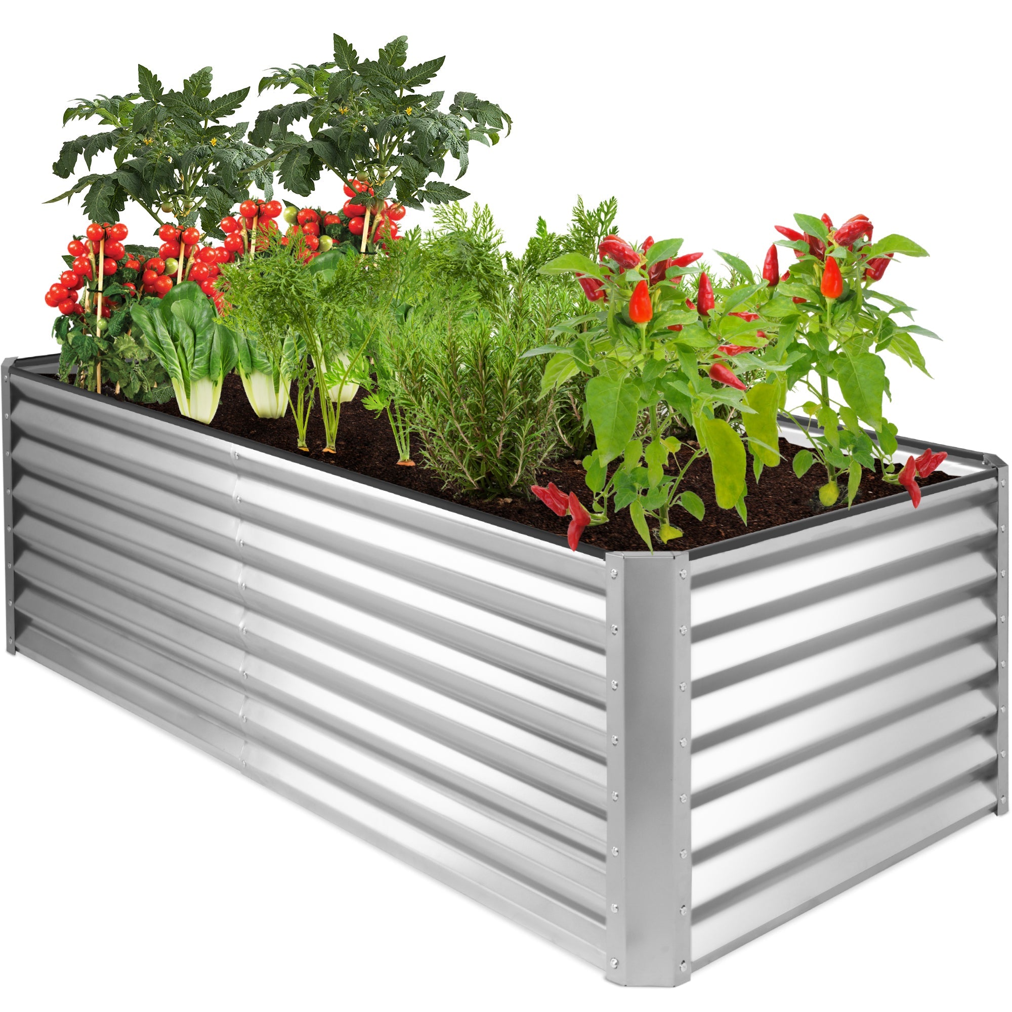 Outdoor Metal Raised Garden Bed for Vegetables, Flowers, Herbs - 6x3x2ft - Silver