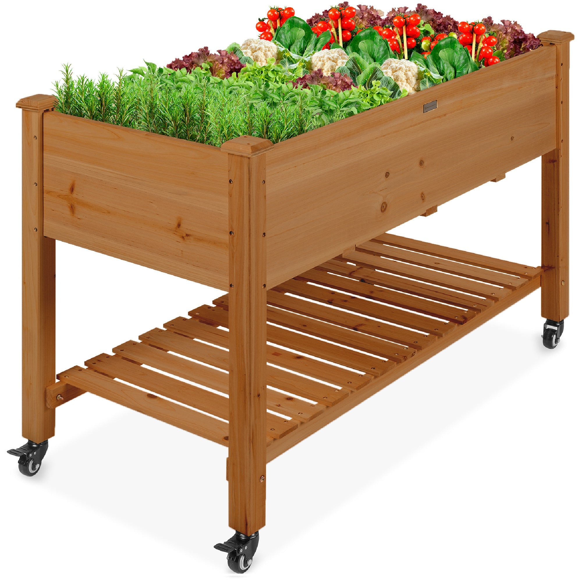 Mobile Raised Garden Bed Elevated Planter w/ Wheels, Shelf - 48x24x32in - Acorn Brown