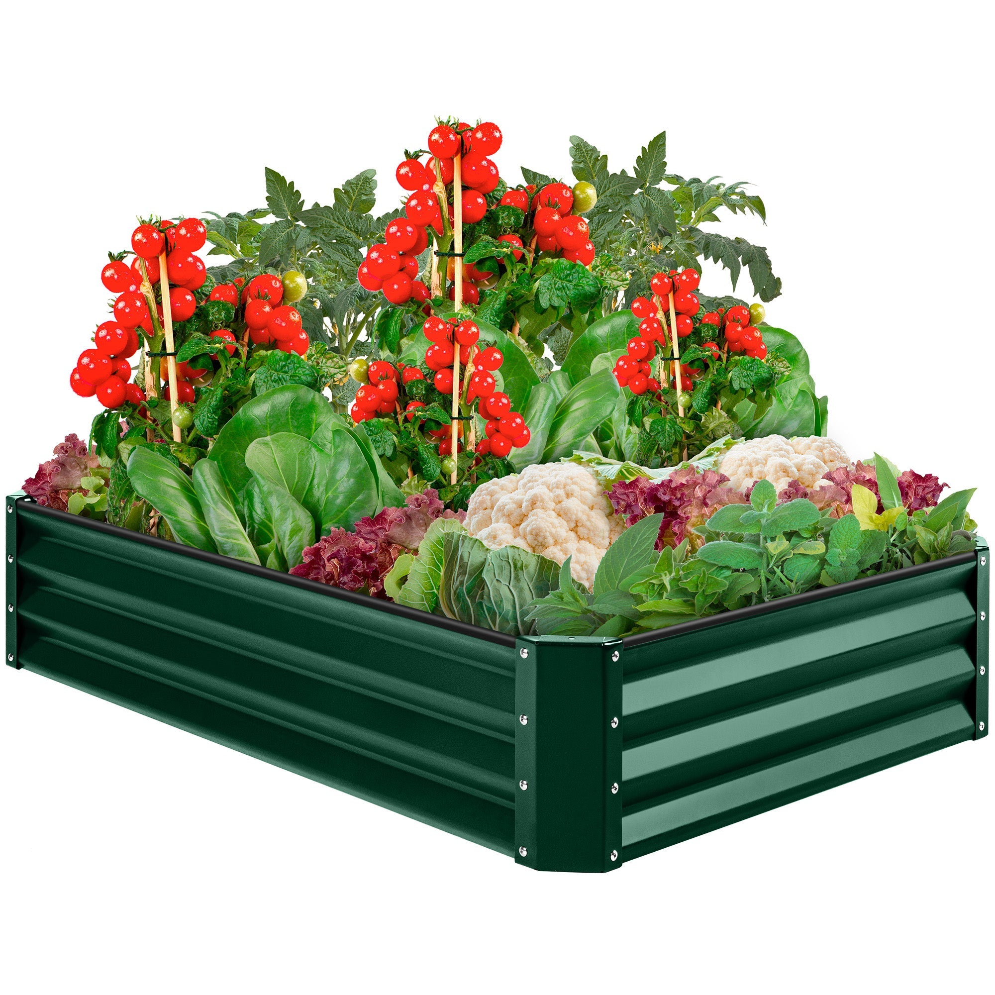 Outdoor Metal Raised Garden Bed for Vegetables, Flowers, Herbs - 6x3x1ft - Dark Green