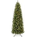 Prelit Spruce Pencil Christmas Tree w/ Incandescent Lights - 6ft