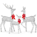 3-Piece Lighted Christmas Deer Set Outdoor Decor with LED Lights - Silver