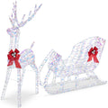 Lighted Christmas Reindeer & Sleigh Outdoor Decor Set w/ LED Lights - Iridescent
