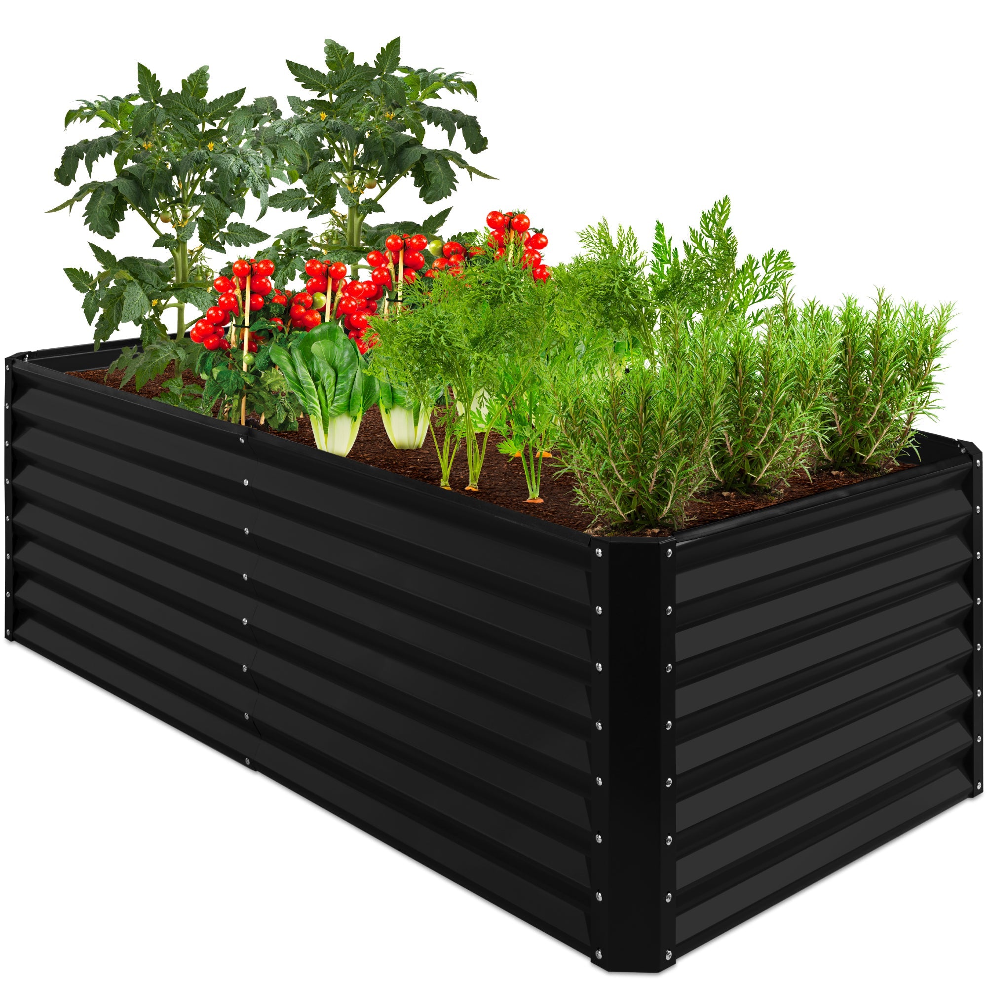Outdoor Metal Raised Garden Bed for Vegetables, Flowers, Herbs - 6x3x2ft - Black