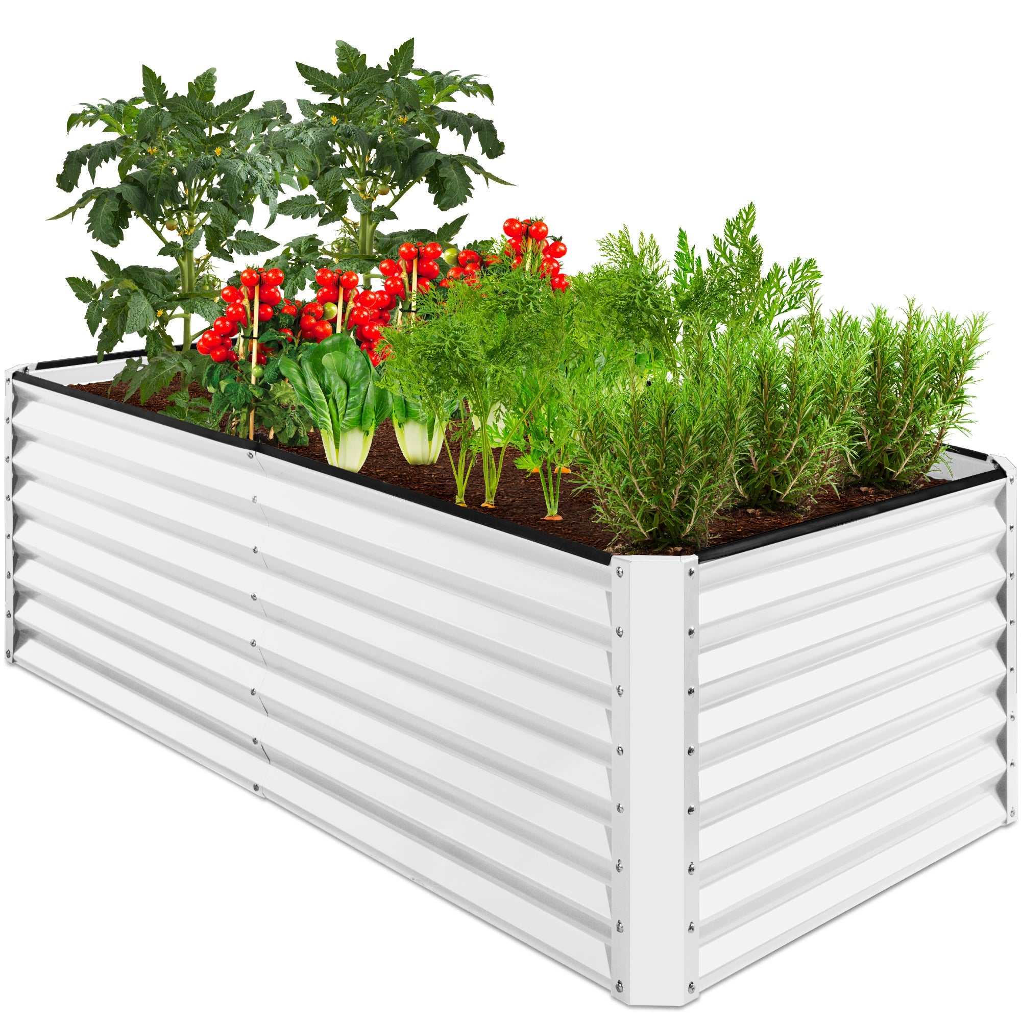 Outdoor Metal Raised Garden Bed for Vegetables, Flowers, Herbs - 6x3x2ft - White
