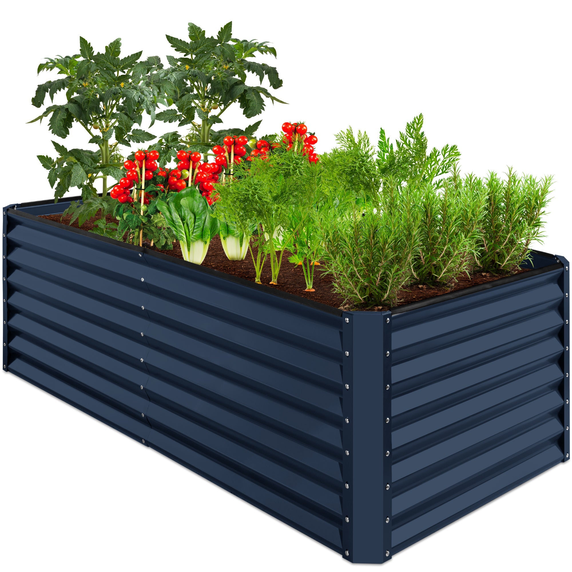 Outdoor Metal Raised Garden Bed for Vegetables, Flowers, Herbs - 6x3x2ft - Navy