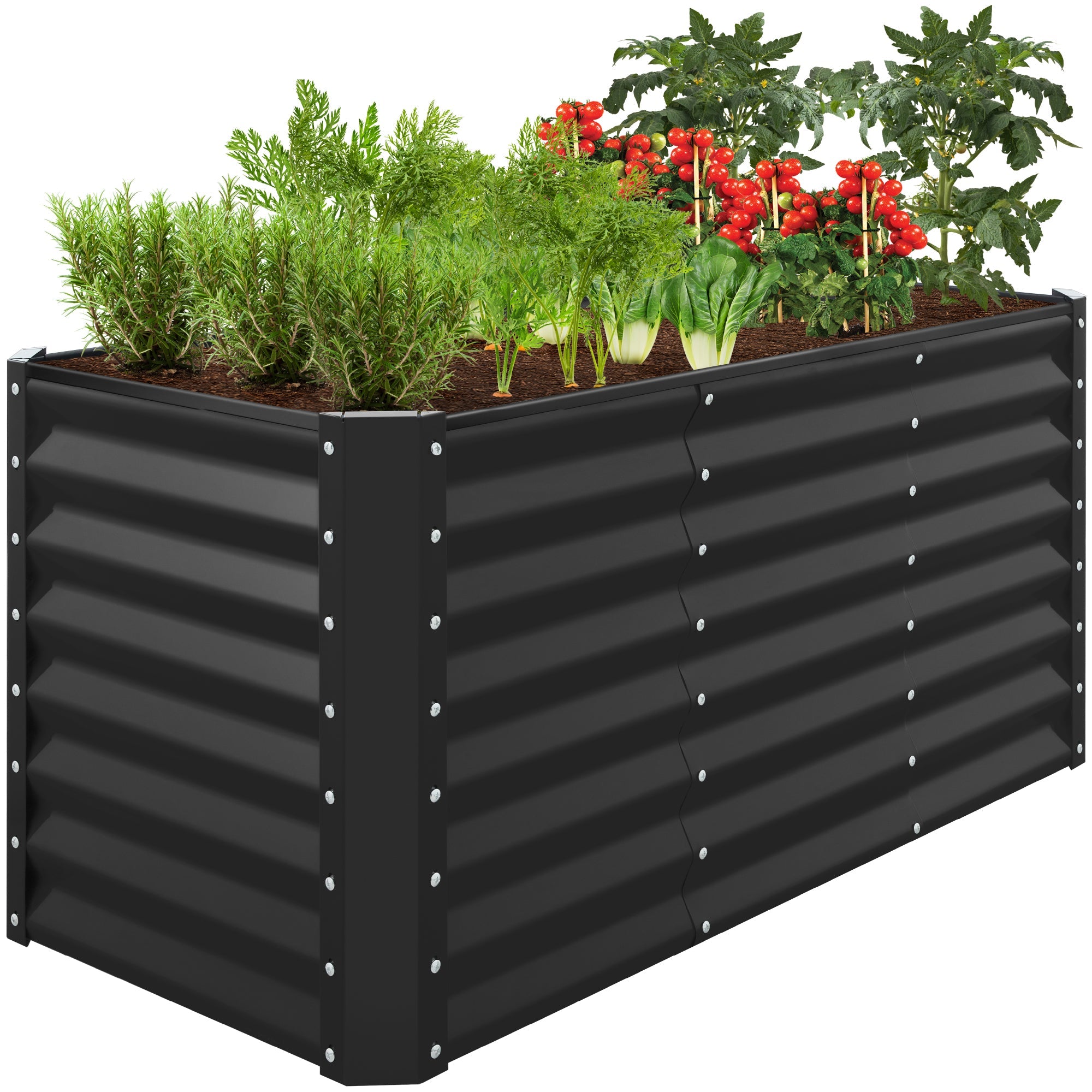 Outdoor Raised Metal Garden Bed for Vegetables, Flowers, Herbs - 4x2x2ft - Black