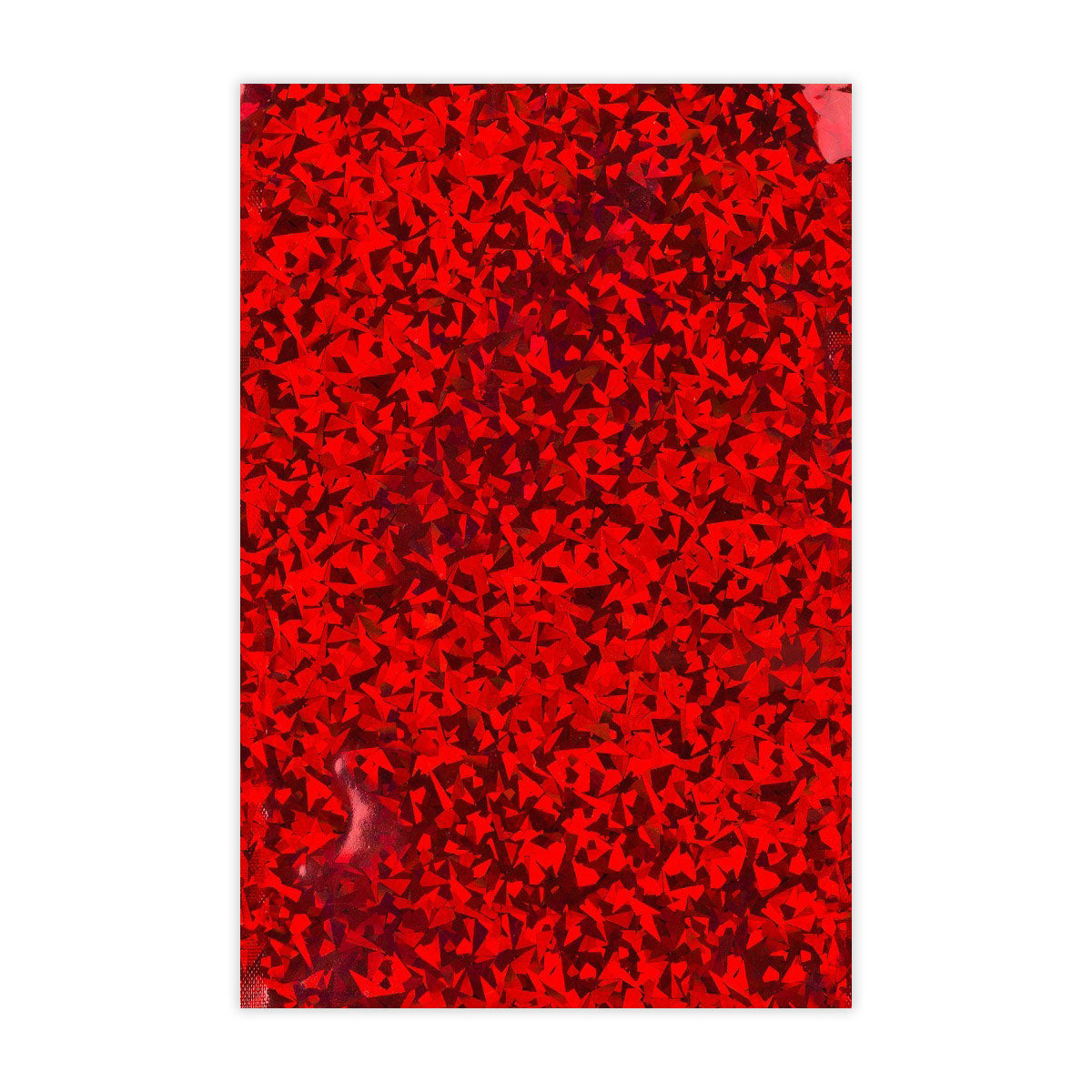 Holographic Finish Foil Bags