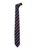 Blue Tie with All-Over Striped Motif for Men Blu Silk Papillon And Ties