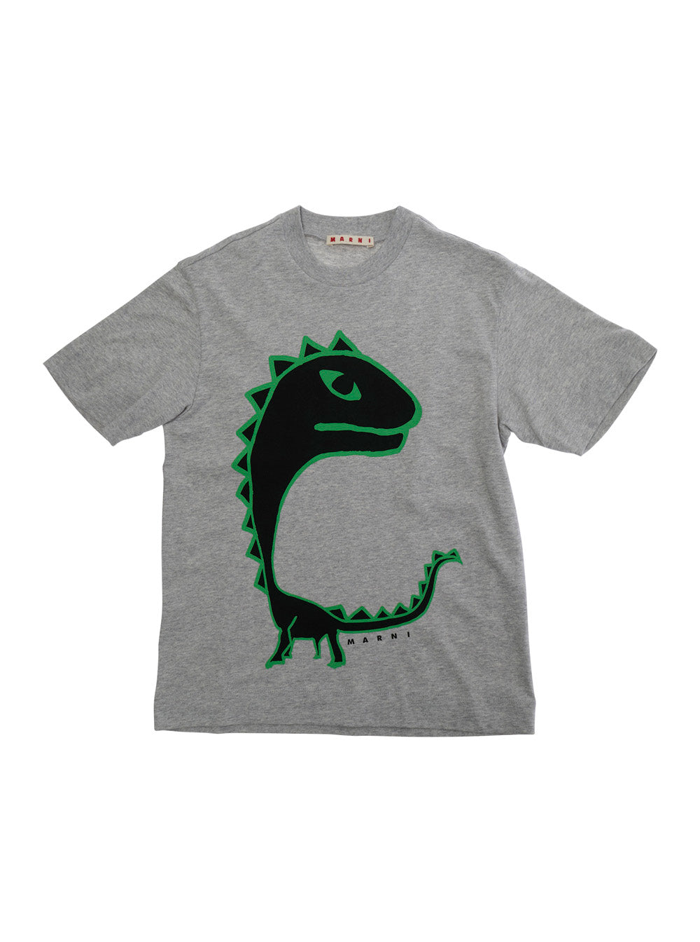 Gray Unisex T-Shirt with Round Neck and Short Sleeves in Cotton Grey Tshirts Polo Shirts