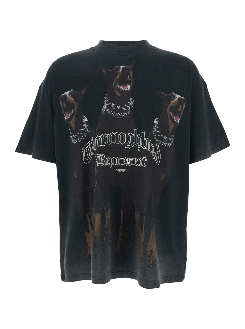 T-Shirt Thoroughbred with Doberman Graphic Print and Lettering Logo on the Front in Black Cotton for Men Tshirts Polo Shirts