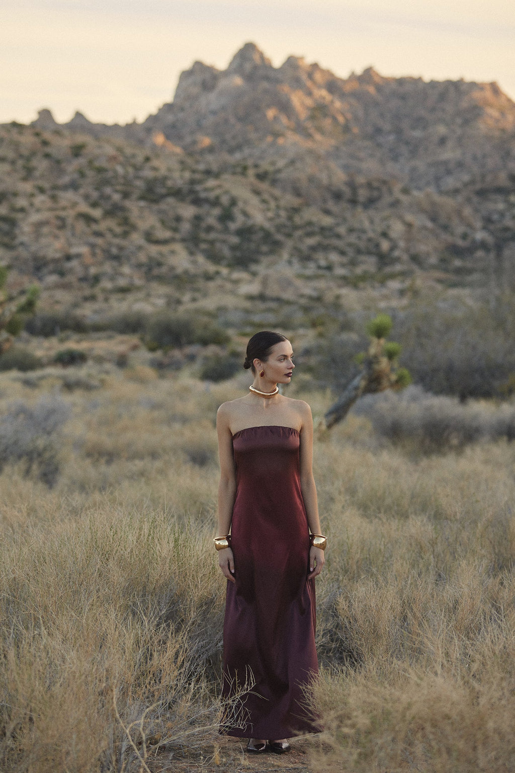 Strapless Draped Maxi (Brown Ombre)